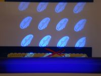 Vorne und hinten gestochen scharfe Linien und brillante Farben