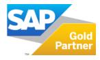 Die Aicomp Cloud GmbH ist SAP Gold Partner