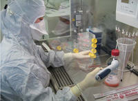 Innovative Therapy Method For The Treatment Of Brain Tumors