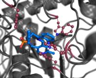 Neue Enzyme für die umweltfreundlichere Herstellung von Medikamenten entwickelt