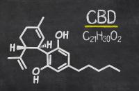 Canopy und Cronos planen Eintritt in den US-CBD-Markt für 2019