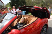Fast kostenloses Rennvergnügen im Ferrari bei der Ferrari Vermietung special-cars!