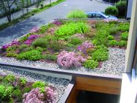 Carport und Wohnhaus für die Natur zurückgewinnen