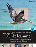 Professionelles Gestalten mit Licht und Schatten