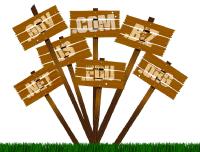 Domain Names First!