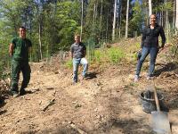 Klimaschutz beginnt hier. Mit mir! Die IT-HAUS GmbH pflanzt 70 neue Bäume im Rahmen eines eigenen Umweltprojektes