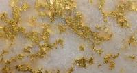 Brigadier Gold: Die heiße Phase hat begonnen!