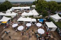 Positive Bilanz beim MercedesCup 2019