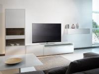 Perfektion in neuer Größe: Metz Topas OLED in 48 Zoll
