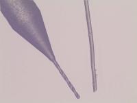 GCT successfully diamond-coated a 0.05 mm drill