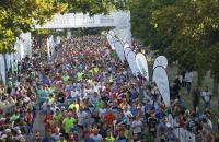 21. Auflage des ebm-papst Marathons im Kochertal – Neue Marathonstrecke im Fokus