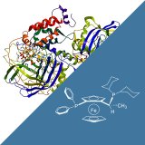 Solvias and Enzymicals join forces in contract research, development and sustainable manufacturing.