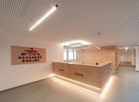 Zuckerahorn im hellen Trio mit Licht und Glas