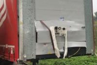 Protektor hinter dem Rücken des Fahrers