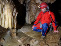 Bewegte Alpen: Neue Erkenntnisse zur Geologie zwischen Innsbruck und Wiener Becken