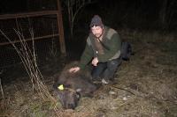 Uni Rostock schließt Wildschwein-Projekt mit Erfolg ab