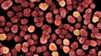 Winzige Medikamente in der Umwelt