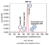 Analytical Toolbox for Cell and Gene Therapy development