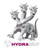 Backups ohne Ballast mit der HYDRAstor Virtual Appliance von NEC Storage