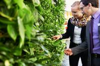 Lifestyle 2014, aber nachhaltig: hydroflora entwickelt vertikale Fensterbänke mit Wohlfühlfaktor