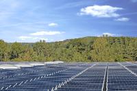 Solarstrom vom grünen Flachdach - warum nicht?