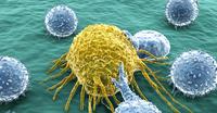 Die globalen strategischen Partner Merck und Pfizer starten Phase-III-Studie zu Avelumab bei Patienten mit nicht-kleinzelligem Bronchialkarzinom vom Stadium IIIb/IV