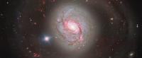 Dazzling Spiral with an Active Heart