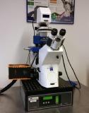 JPK announces collaboration with Abberior Instruments to demonstrate STED capability with their NanoWizard® AFM systems with the opening of a new demonstration facility in their Berlin headquarters
