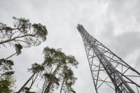 Silvester-Rekord: 60 Prozent mehr Datennutzung im Vodafone-Netz