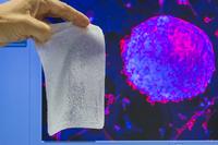 Innovationen in der Medizinaltechnik