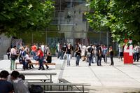 Welcher Studiengang ist der Richtige für mich?