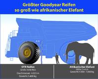 Größter Goodyear-Reifen ist so groß wie ein Elefant