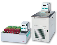 Thermostaten-Modelle der EH-Reihe mit weiteren Funktionen
