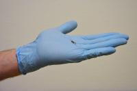 Fernüberwachung bei Herzschwäche kann Klinikaufenthalt ersparen