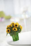 ecoVaas - die Papierblumenvase für Kliniken und Pflegeeinrichtungen