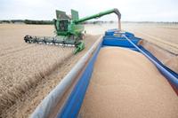Ausbau des Zuchtmaterials für Weizen: Bayer CropScience erhält Zugang zu Zuchtmaterial für Weizen von führendem rumänischem Agrarforschungsinstitut