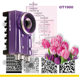 Matrox Smart-Camera - high-resolution for machine-vision and industrial imaging