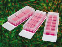 ibidi Produktneuheit: 3 Well und 8 Well Chambers, removable, für Immunfluoreszenz