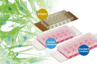 Discover 18 Wells for Cost-Effective Cell Culture and High-Resolution Microscopy