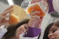 "Science on Tour Lausitz" in internationalem Forschungsprojekt