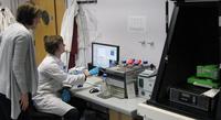Die Universität von Nottingham arbeitet im Bereich der Einzelmolekül- und biopharmazeutischen Anwendungen mit JPKs innovativem ForceRobot® 300