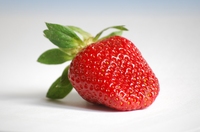 Biologisch bekämpft: Welkepilz bei Erdbeeren
