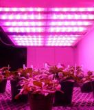 Osram gewährt ersten Blick auf Neuheiten für die Light + Building