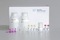 NEW: VIRAL DNA/RNA – EXTRACTION KITS