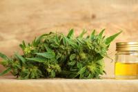 Analystenmeinung: Cannabis-Aktien stark überverkauft