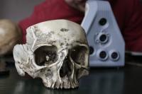 Threeding und Artec 3D enthüllen neue Kollektion hochpräziser und erschwinglicher anatomischer Modelle für den Einsatz im Bildungswesen