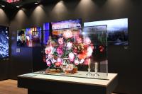 Revolution maßgeschneiderter Transparent-OLED Produkte