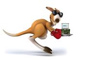 Computer-on-Module: High-End-Performance so günstig wie nie