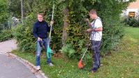 Gartengeräte: Akkus sind starke Alternative zu Netzkabel und Benzin