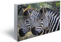Steglos Plasma Display MIS-4220